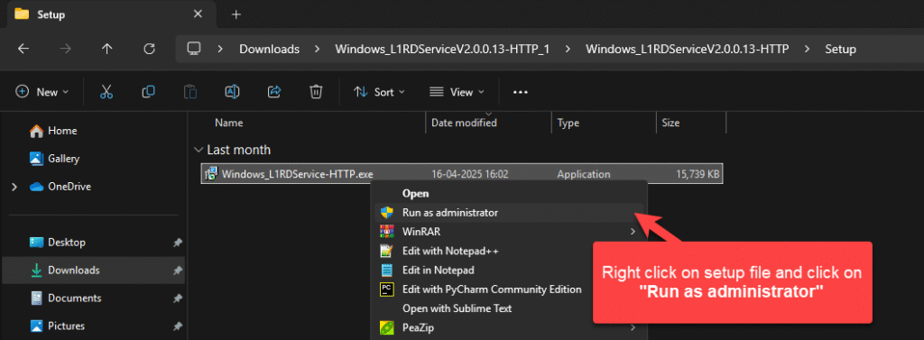 Morpho L1 RD Service Installation in Windows